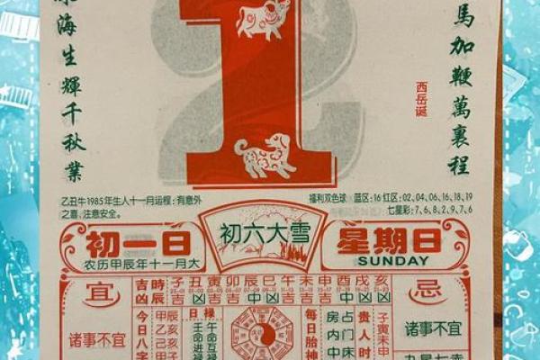 猪年命理：探索11月23日出生者的独特命运与性格特征