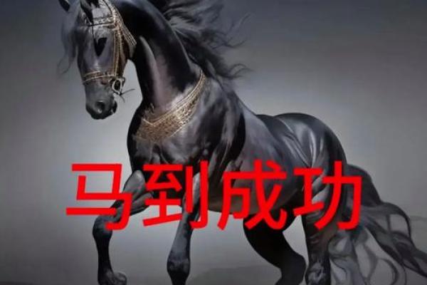 50岁以上的马：命运与生命的智慧之旅