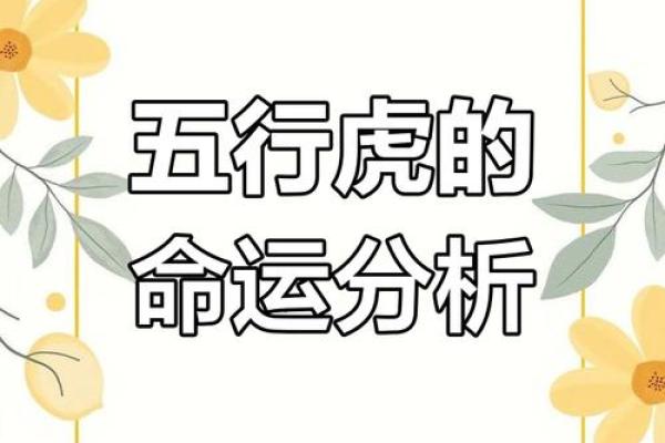 2024年虎年，五行命理解读与个人运势分析