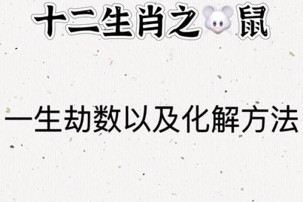 生肖鼠的人，哪种命格最为富贵与好运？