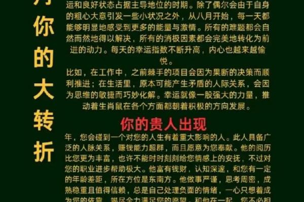 揭开2021年属鼠人的命运之谜：流年运势与人生选择