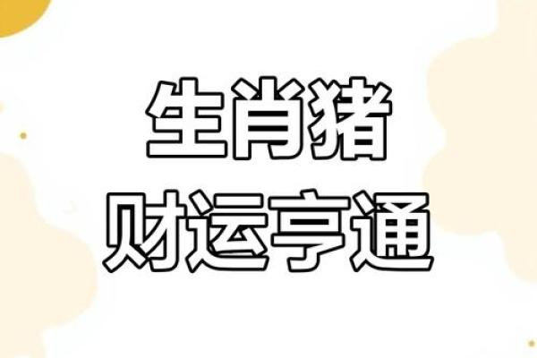 解密1971年属猪人命格特点：缺失的运势与提升方法