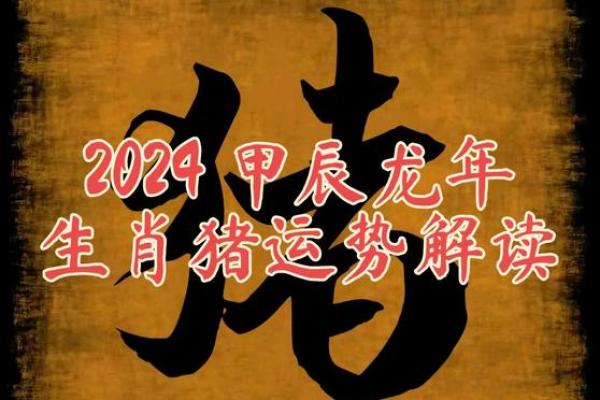 40岁属猪男：命运解析与人生智慧分享