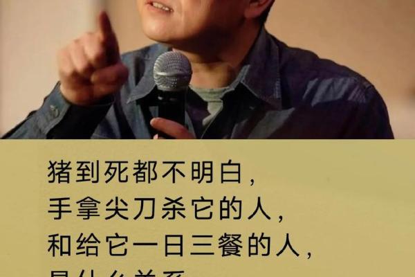 40岁属猪男：命运解析与人生智慧分享