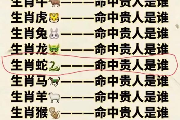 什么叫生来富贵命？探寻命运与财富的奥秘