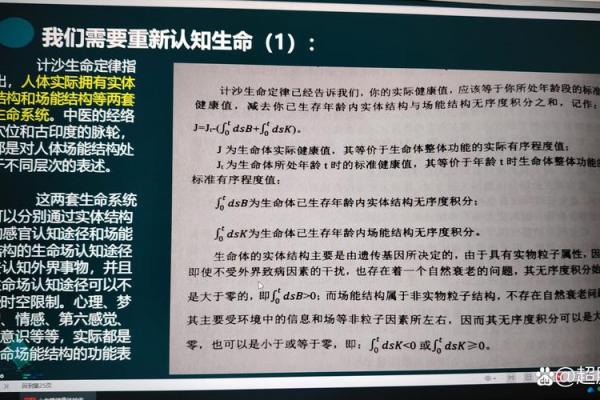 探秘命泉：揭示生活中潜藏的能量与智慧