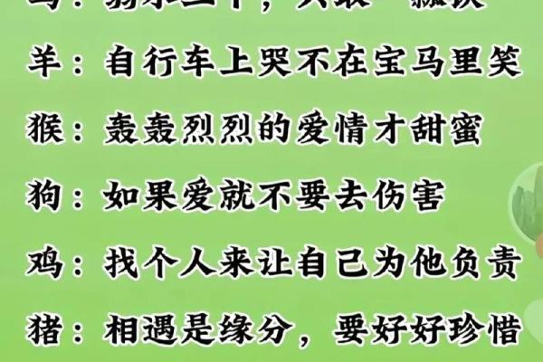 根据属相分析：白羊命更好的生肖搭配