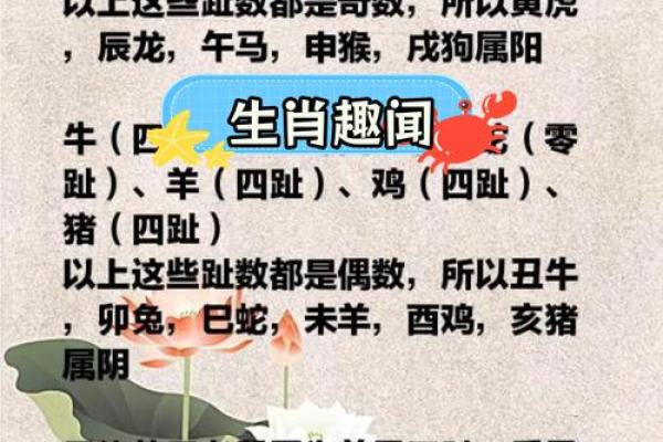 探秘十二生肖：各属相的命格与生活挑战