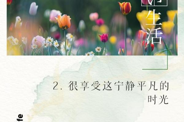 命好的秘诀：从内心出发，感受生活中的每一份美好