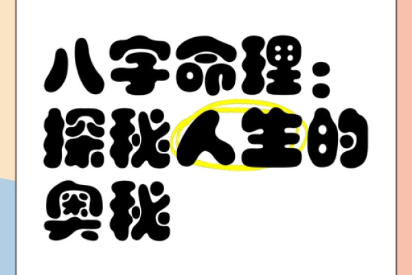 男孩48岁：属什么命？探寻命理与人生的奥秘