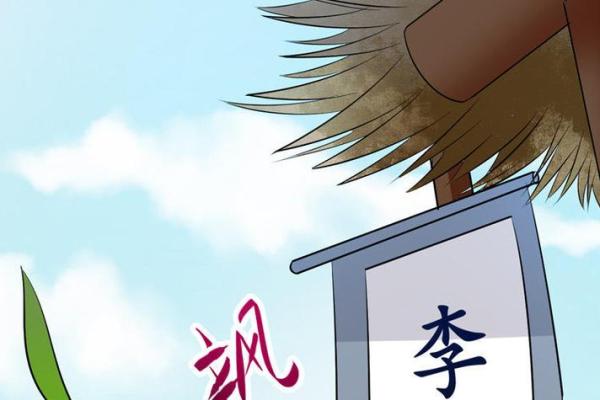 命里带剑：探索命理与剑的神秘关系与启示