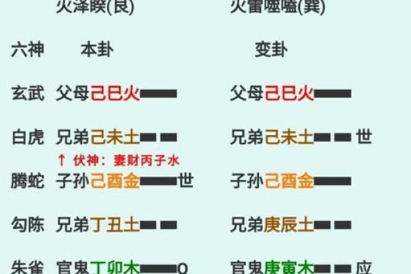 1978年出生的男性命卦解析：探寻命运的奥秘与生活的智慧
