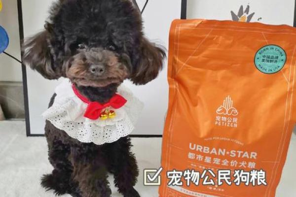 大溪水命之人适合的宠物选择：温馨伴侣的最佳推荐