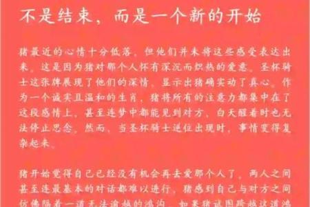 51岁属猪命运解析：走进人生的黄金阶段