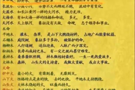 甲子海中金命的人适合佩戴哪些饰品？探索最佳选择与意义！