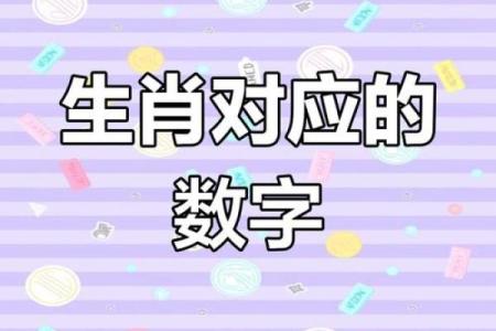 探索十二生肖的命理奥秘，揭示人生的不同轨迹