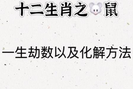生肖鼠的人，哪种命格最为富贵与好运？