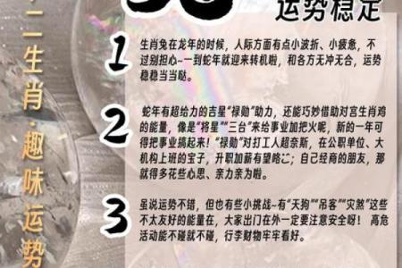 1999年兔年出生的人命理解析：命运与性格的深度探讨