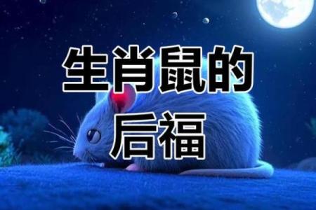 揭开2021年属鼠人的命运之谜：流年运势与人生选择