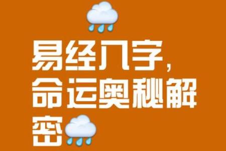 探索94狗命运：炉中火的奥秘与智慧