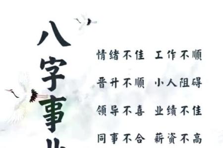 海中金命牛：在生活与事业中的指南与注意事项