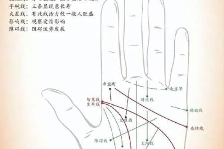 解密天才手相：男命里的智慧密码与人生轨迹