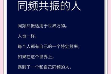 金命人与适合的伴侣：寻找心灵的共鸣与升华