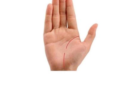 揭秘手相：从掌纹看你的命运与人生轨迹