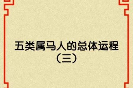 2002年属马的命运解析与生活指南