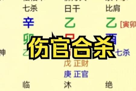 女命伤官见官：命理中的双重角色与命运解析