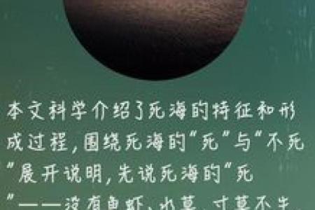 《1965年：神秘的命运与不平凡的故事》