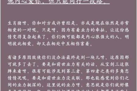 属猪人的命运解析：智慧与机遇交织的生命旅程