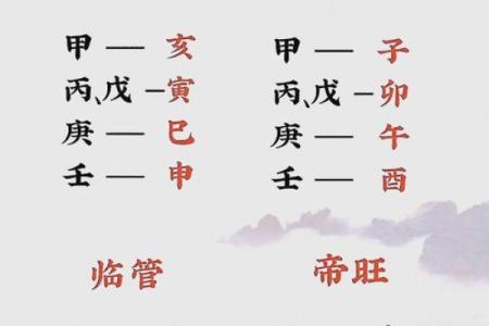 探寻命理中的辛未、甲午、辛亥与癸巳：命运的秘密与人生哲学
