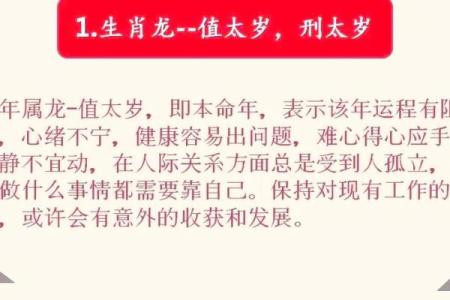 根据什么命挣什么钱的深刻解析与思考