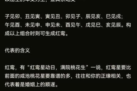 30岁属狗的命运与人生航向：探寻命理背后的秘密