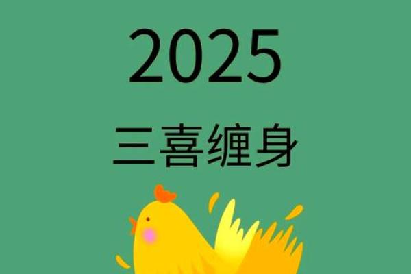 土命属鸡的幸运色彩与生活方式探秘