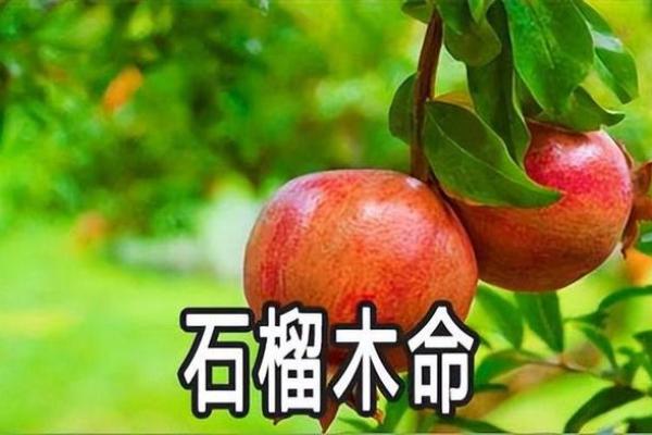 金鸡石榴木命的佩戴法则与灵性价值探秘