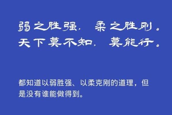 王爷命意蕴：周易智慧的深邃与启示