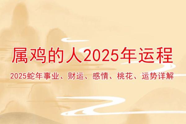 1969年出生的鸡人：踏上命运之路的探索与启示