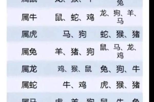 虚岁14岁属鸡的命理解析与人生启示