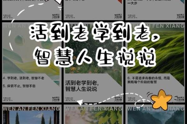 47岁牛年命运解析：人生智慧与职业选择的完美结合