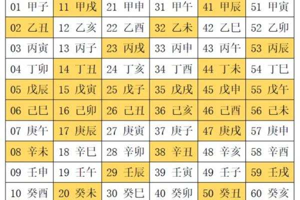 土猪命缺什么？11月里的命理分析与提升建议