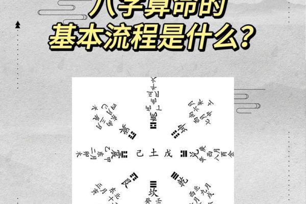 探寻命理智慧：优质命理书籍推荐与分享