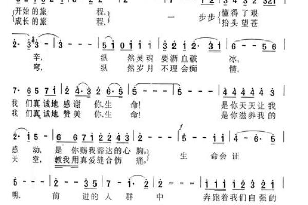 探寻“勤命”的深意：生命与努力的交响曲