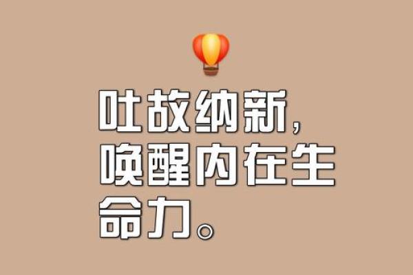 探寻“勤命”的深意：生命与努力的交响曲