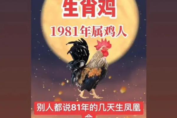 属鸡的38是什么命？揭秘命理奥秘与生活智慧！