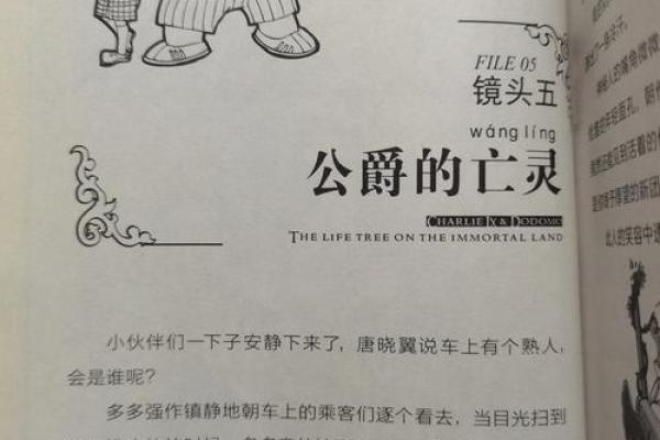 五命皇女的绝世武器：神秘之刃的传奇之旅