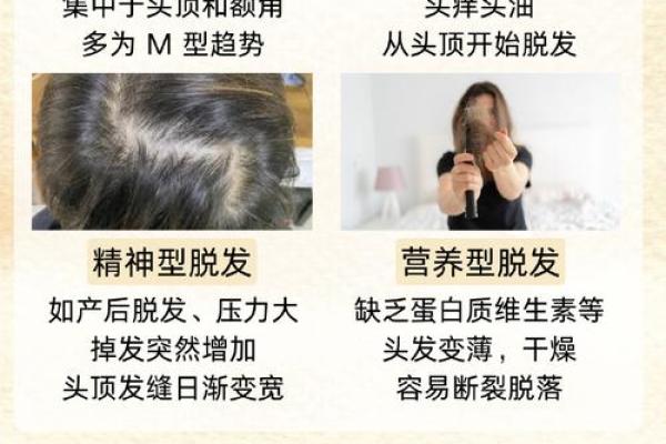 头发油腻背后的命运：揭示生活习惯与身体健康的奥秘