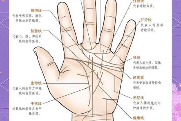 探秘命理：如何通过推算揭示一个人的命运之路