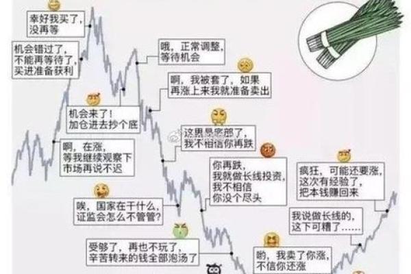 2008年属牛人的命运：机遇与挑战并存的心路历程